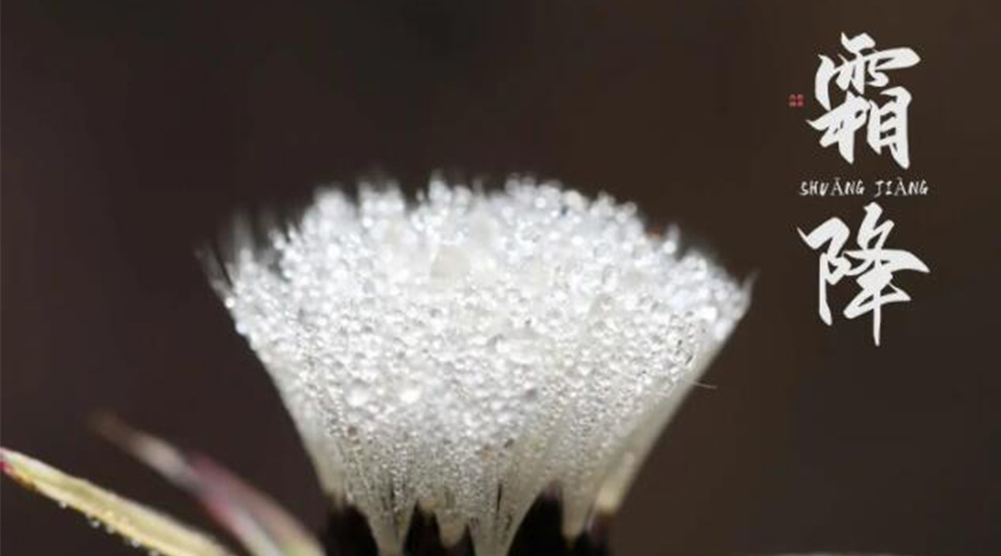 霜降時(shí)節(jié)！金環(huán)電器提醒大家要注意的事項(xiàng)