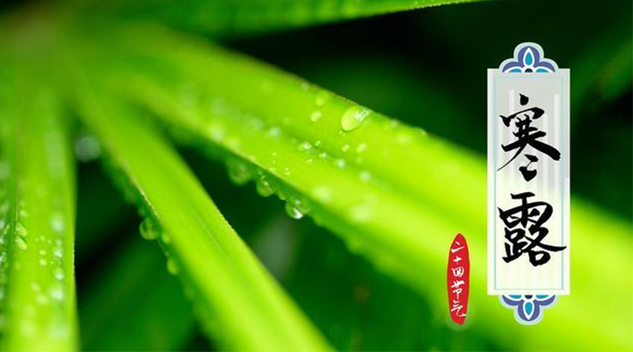 寒露時(shí)節(jié)到！金環(huán)電器提醒這些干衣事項(xiàng)要注意