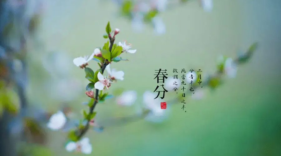 春分雨水多易生菌！金環(huán)電器提醒你衣物要注意處理