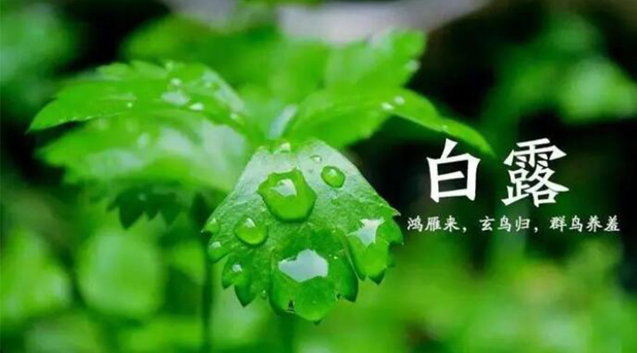 白露時節(jié)！金環(huán)電器提醒大家要注意的事項(xiàng)