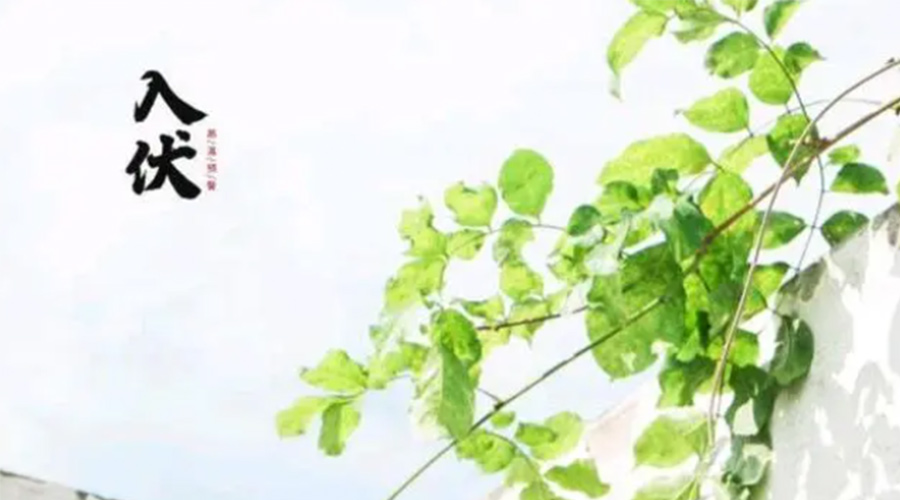 初伏時(shí)節(jié)！金環(huán)電器提醒大家要注意的事項(xiàng)