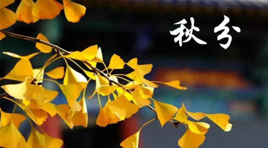 秋分時節(jié)！金環(huán)電器提醒大家要注意的事項