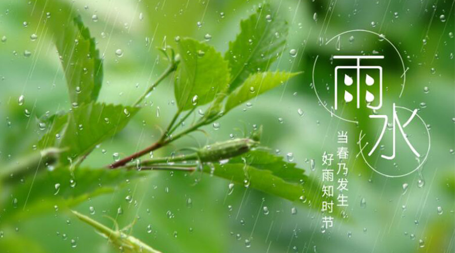雨水時(shí)節(jié)！金環(huán)電器提醒大家要注意的事項(xiàng)