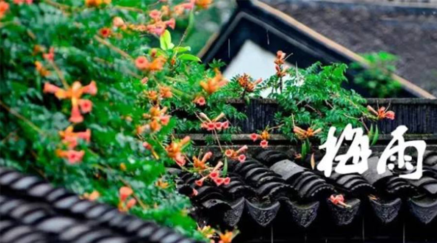 什么是梅雨？梅雨如何形成？  金環(huán)電器告訴你答案